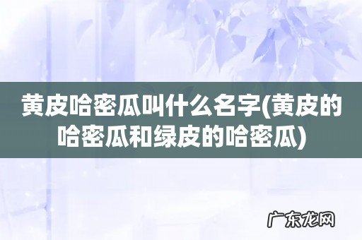 黄皮的哈密瓜和绿皮的哈密瓜 黄皮哈密瓜叫什么名字