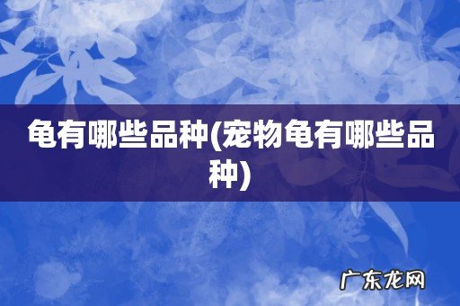 宠物龟有哪些品种 龟有哪些品种