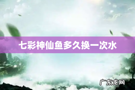 七彩神仙鱼多久换一次水