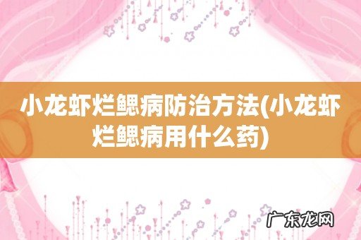 小龙虾烂鳃病用什么药 小龙虾烂鳃病防治方法