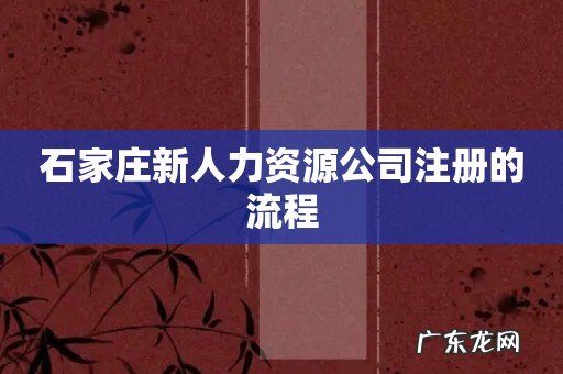 石家庄新人力资源公司注册的流程