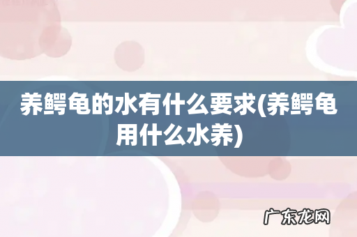 养鳄龟用什么水养 养鳄龟的水有什么要求