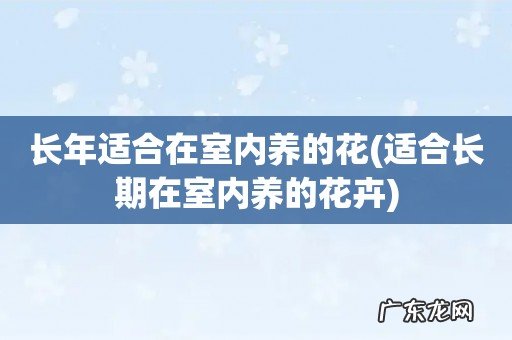 适合长期在室内养的花卉 长年适合在室内养的花