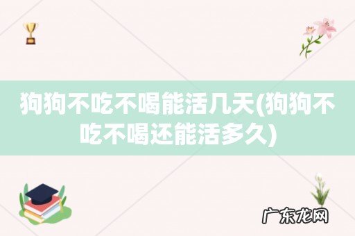 狗狗不吃不喝还能活多久 狗狗不吃不喝能活几天
