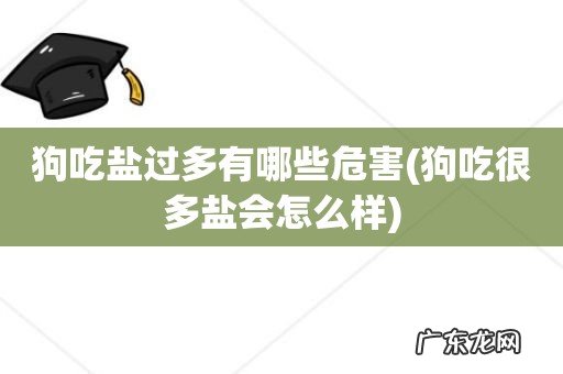 狗吃很多盐会怎么样 狗吃盐过多有哪些危害