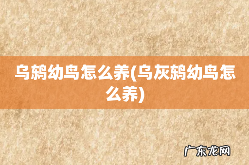 乌灰鸫幼鸟怎么养 乌鸫幼鸟怎么养