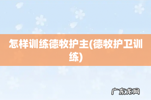 德牧护卫训练 怎样训练德牧护主