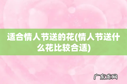 情人节送什么花比较合适 适合情人节送的花