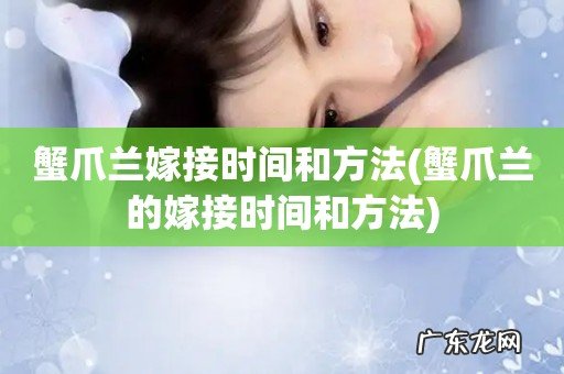 蟹爪兰的嫁接时间和方法 蟹爪兰嫁接时间和方法