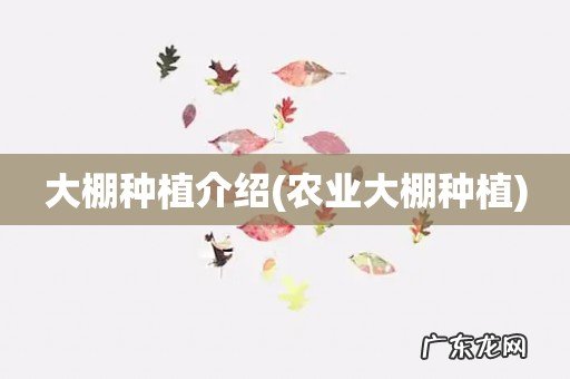 农业大棚种植 大棚种植介绍