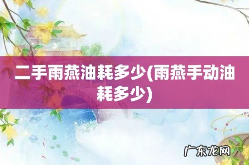 雨燕手动油耗多少 二手雨燕油耗多少