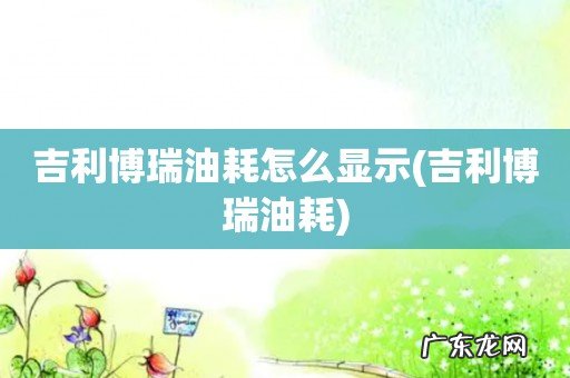 吉利博瑞油耗 吉利博瑞油耗怎么显示