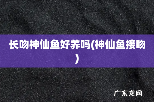 神仙鱼接吻 长吻神仙鱼好养吗