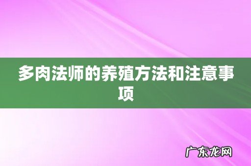 多肉法师的养殖方法和注意事项
