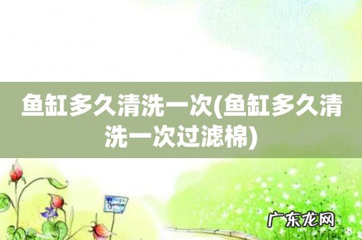 鱼缸多久清洗一次过滤棉 鱼缸多久清洗一次