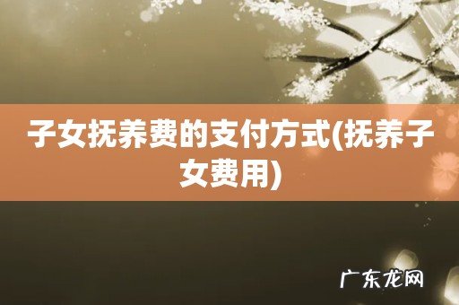抚养子女费用 子女抚养费的支付方式