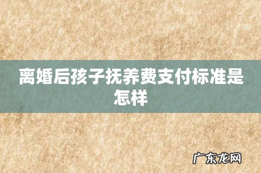 离婚后孩子抚养费支付标准是怎样