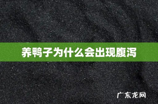 养鸭子为什么会出现腹泻