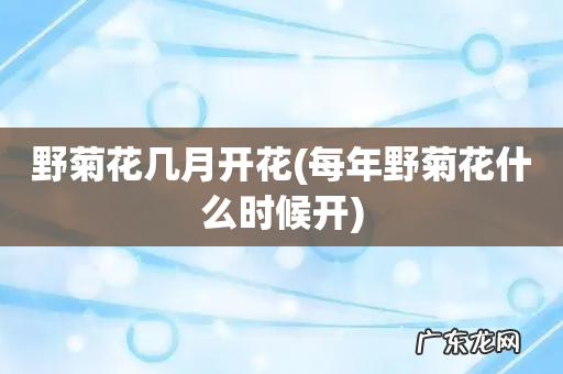 每年野菊花什么时候开 野菊花几月开花