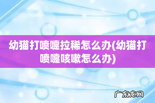 幼猫打喷嚏咳嗽怎么办 幼猫打喷嚏拉稀怎么办