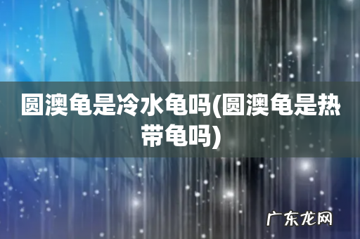 圆澳龟是热带龟吗 圆澳龟是冷水龟吗