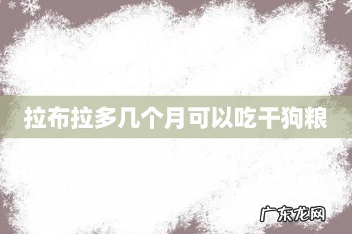 拉布拉多几个月可以吃干狗粮