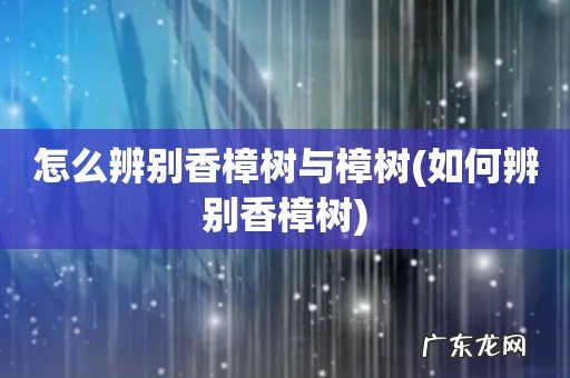 如何辨别香樟树 怎么辨别香樟树与樟树