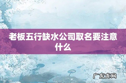 老板五行缺水公司取名要注意什么