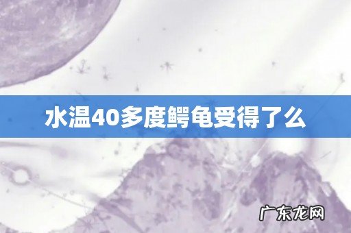 水温40多度鳄龟受得了么