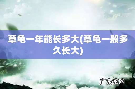 草龟一般多久长大 草龟一年能长多大