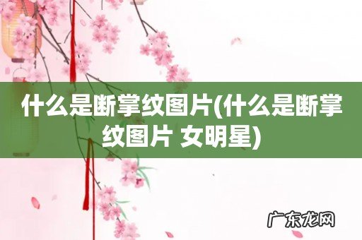 什么是断掌纹图片 女明星 什么是断掌纹图片