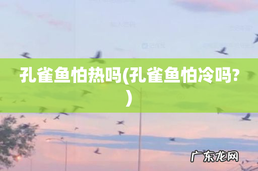 孔雀鱼怕冷吗? 孔雀鱼怕热吗