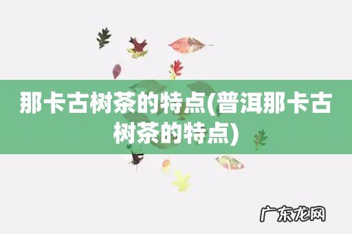 普洱那卡古树茶的特点 那卡古树茶的特点