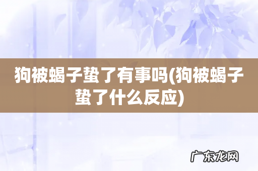 狗被蝎子蛰了什么反应 狗被蝎子蛰了有事吗