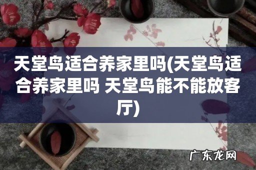 天堂鸟适合养家里吗 天堂鸟能不能放客厅 天堂鸟适合养家里吗
