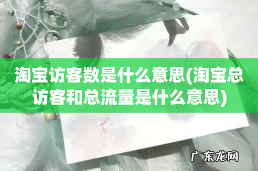 淘宝总访客和总流量是什么意思 淘宝访客数是什么意思
