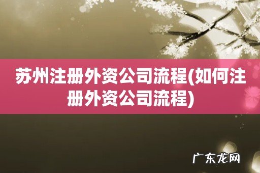 如何注册外资公司流程 苏州注册外资公司流程