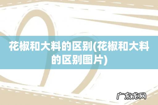 花椒和大料的区别图片 花椒和大料的区别