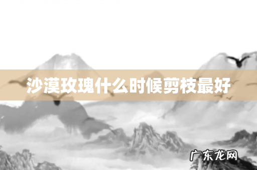 沙漠玫瑰什么时候剪枝最好