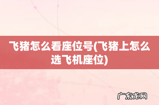 飞猪上怎么选飞机座位 飞猪怎么看座位号