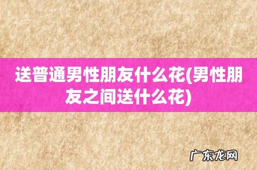男性朋友之间送什么花 送普通男性朋友什么花