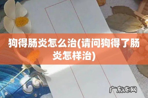 请问狗得了肠炎怎样治 狗得肠炎怎么治
