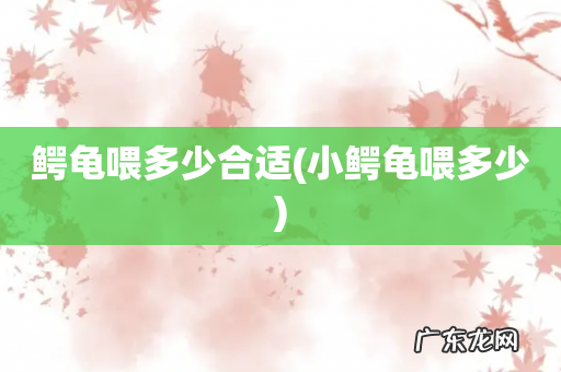 小鳄龟喂多少 鳄龟喂多少合适