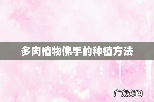 多肉植物佛手的种植方法