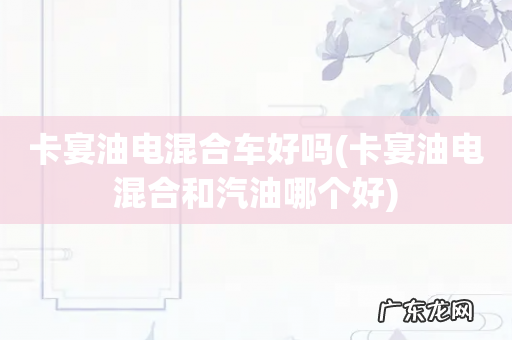 卡宴油电混合和汽油哪个好 卡宴油电混合车好吗