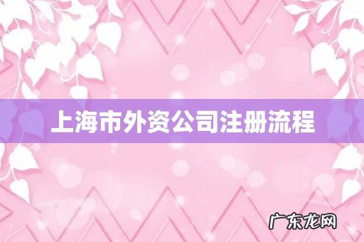 上海市外资公司注册流程