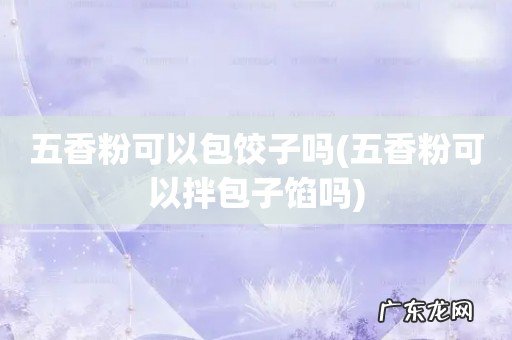 五香粉可以拌包子馅吗 五香粉可以包饺子吗
