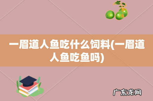 一眉道人鱼吃鱼吗 一眉道人鱼吃什么饲料