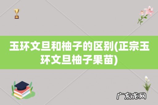 正宗玉环文旦柚子果苗 玉环文旦和柚子的区别