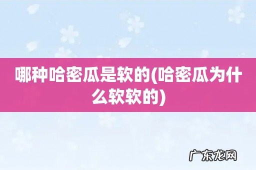 哈密瓜为什么软软的 哪种哈密瓜是软的